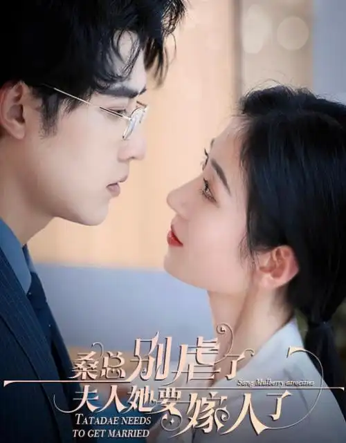 8090电影网都市爽剧闪婚老公是首富海报